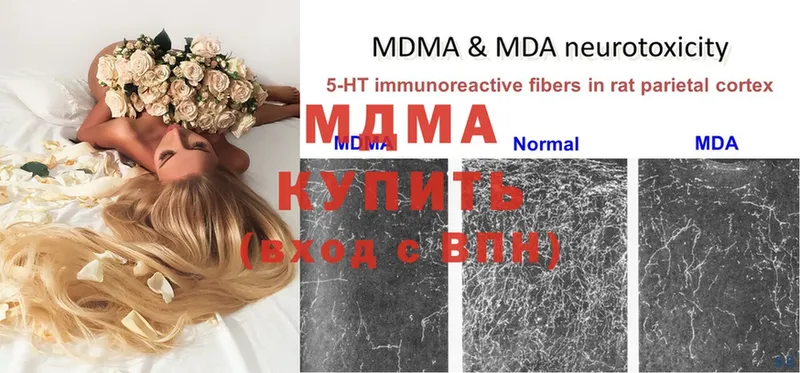 MDMA Molly  цены   Заводоуковск 